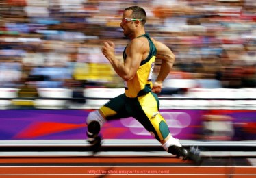 收米体育直播-健身器材大全第六版：全类型健身工具图文详解