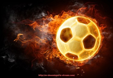 收米体育直播-女性健身器材哪些好的详细介绍与使用建议